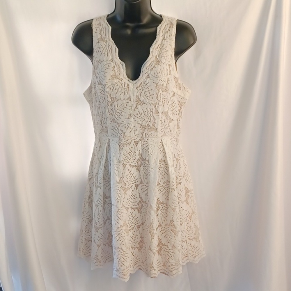 Francesca’s White Lace Dress, nude lining